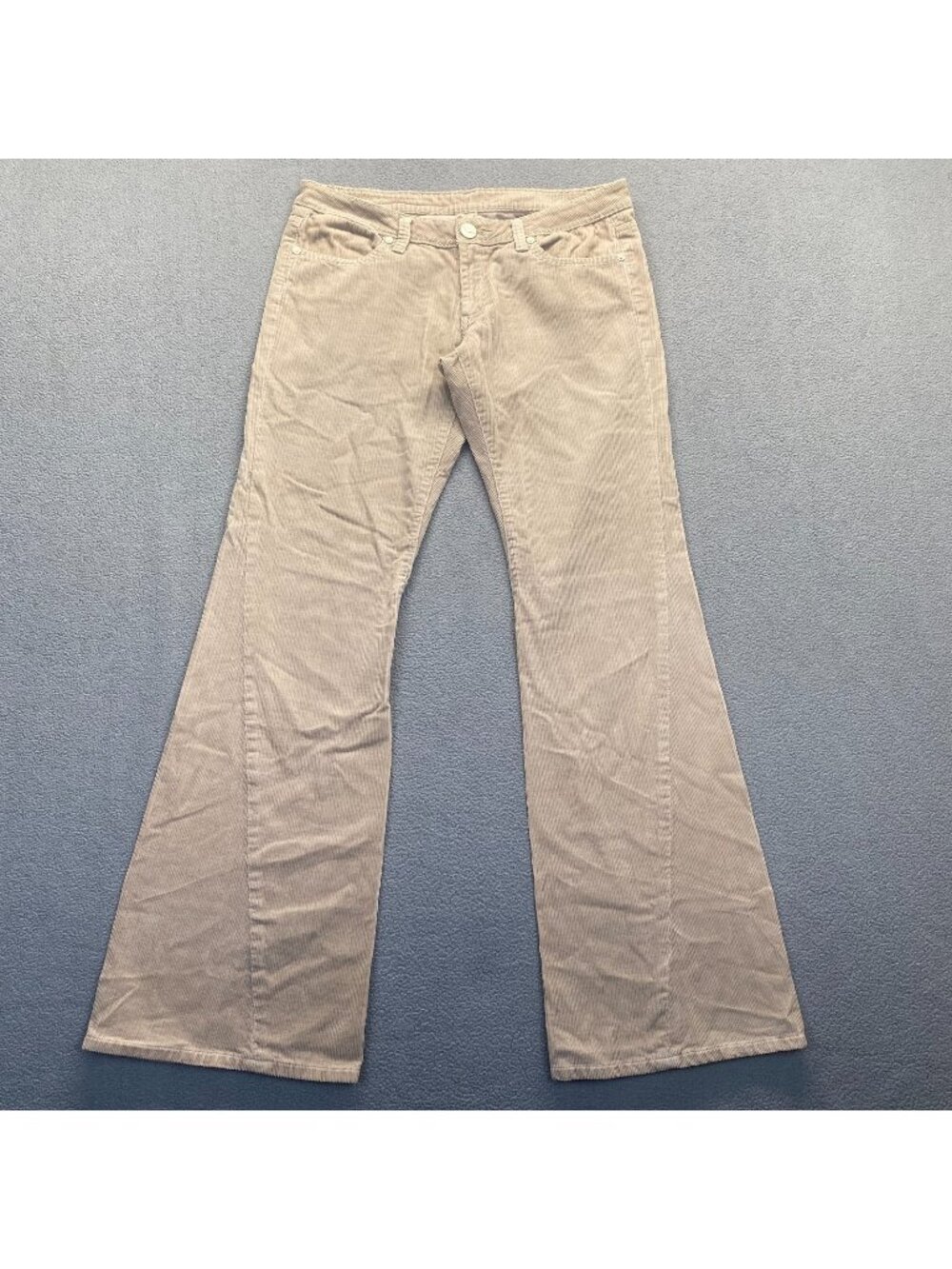 BCBGMAXAZRIA Women's Corduroy Pants Size 29,Beige,Stretch